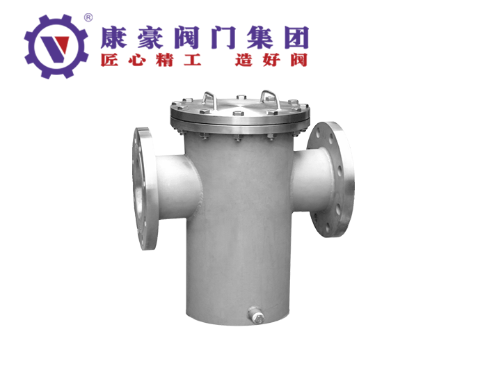 不锈钢蓝式直通过滤器